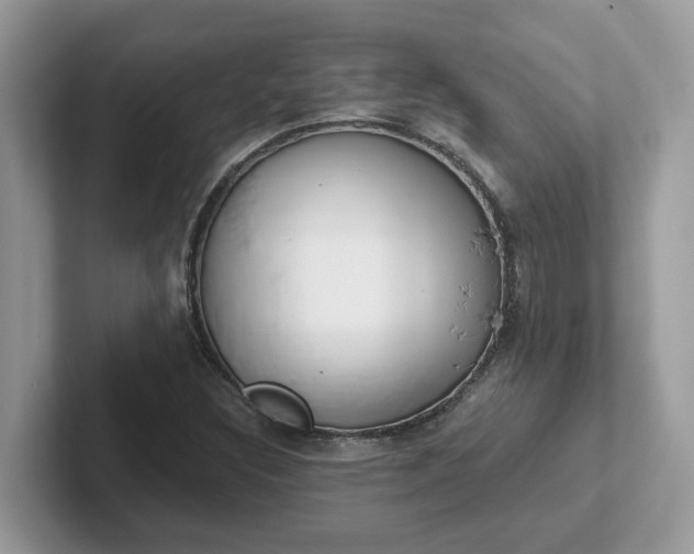 X0000101411308200807211047