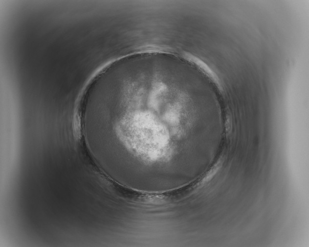 X0000101411310200807211047