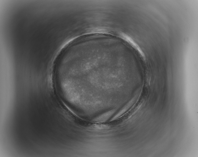 X0000101411312200807211047