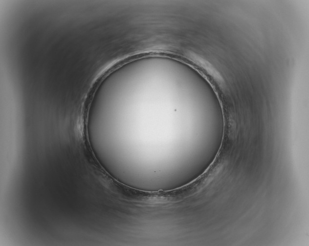 X0000101411316200807211047