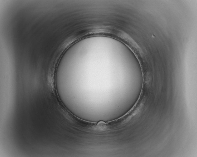 X0000101411321200807211047