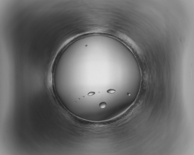 X0000101411324200807211047