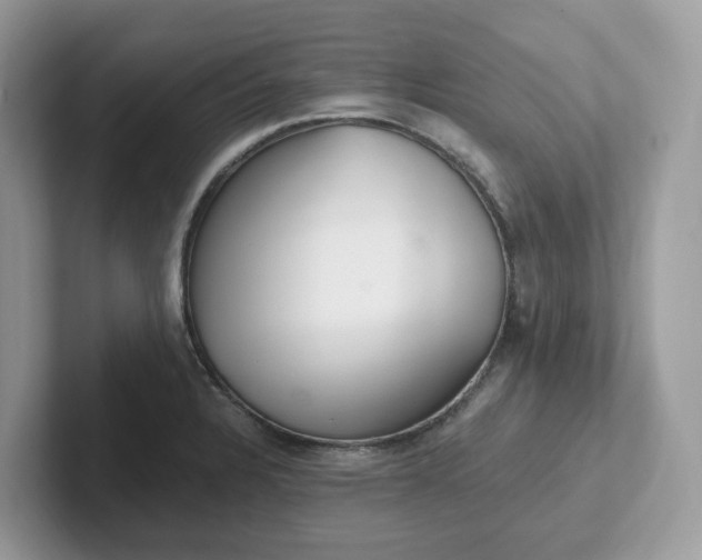 X0000101411328200807211047