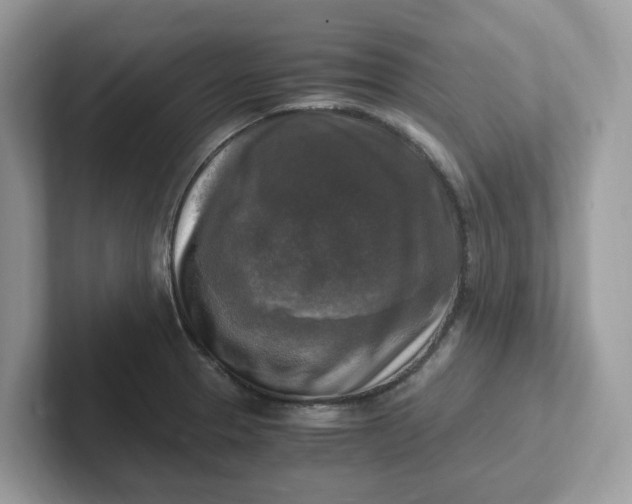 X0000101411329200807211047