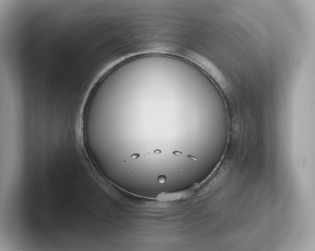 X0000101411332200807211047