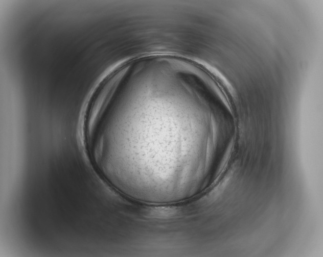 X0000101411333200807211047