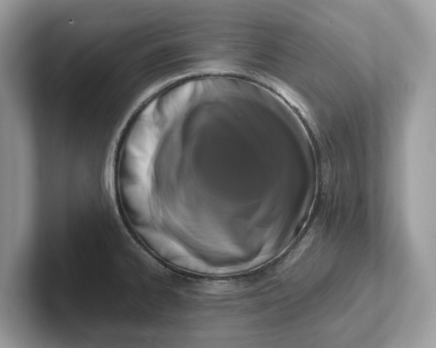 X0000101411334200807211047