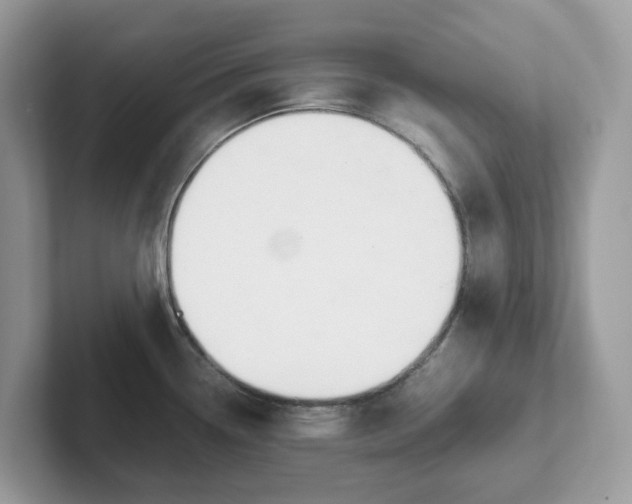 X0000101411338200807211047