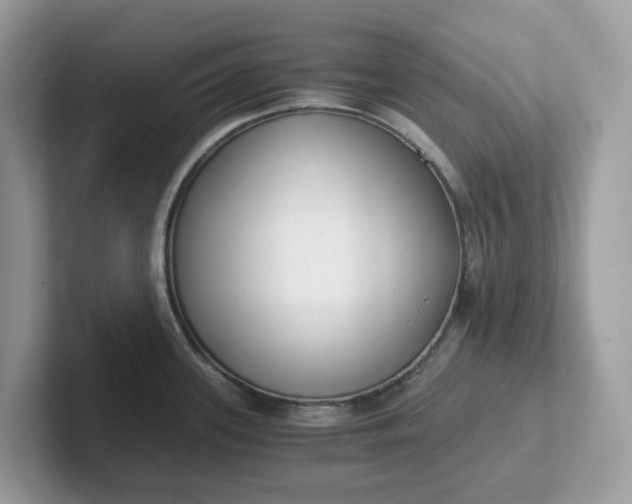 X0000101411339200807211047