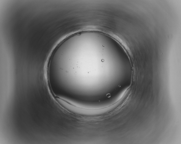 X0000101411342200807211047