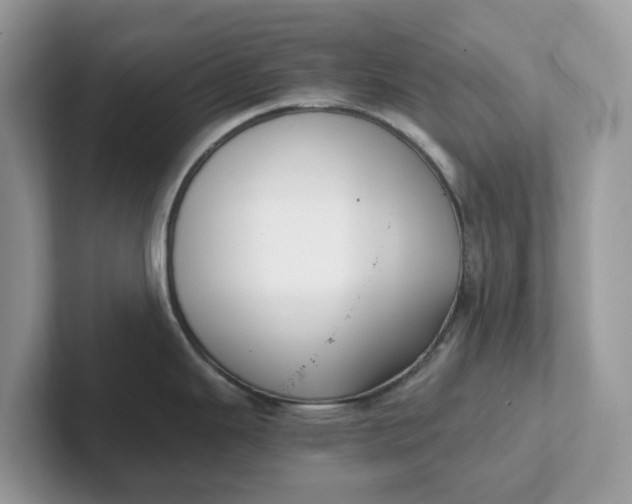 X0000101411343200807211047