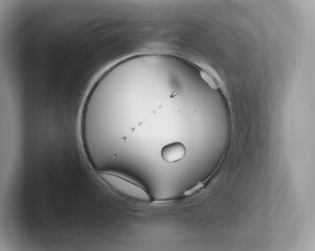 X0000101411344200807211047