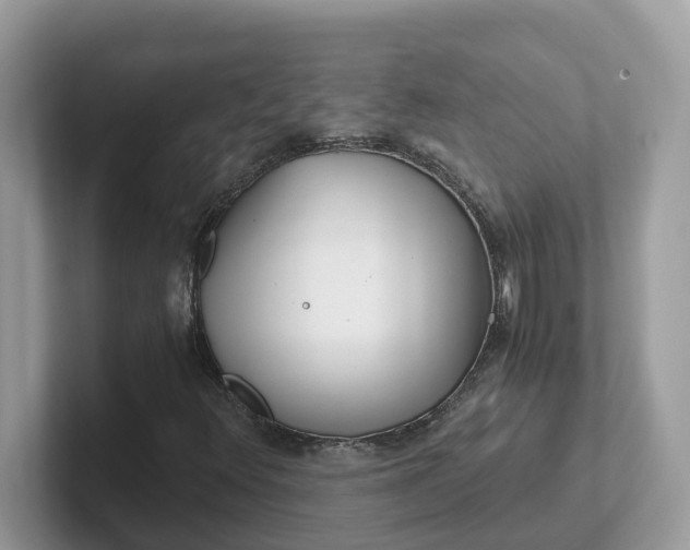 X0000101411348200807211047