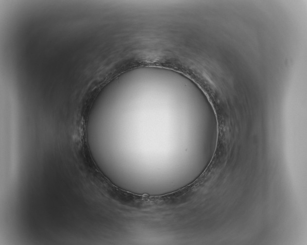 X0000101411349200807211046