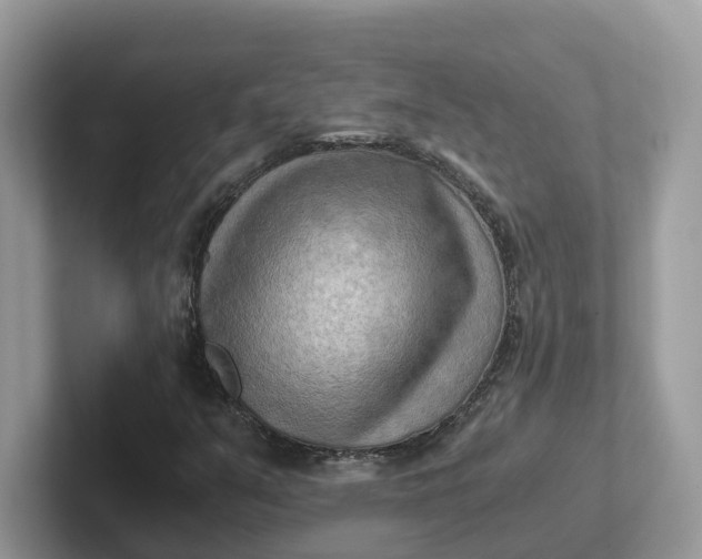 X0000101411351200807211046
