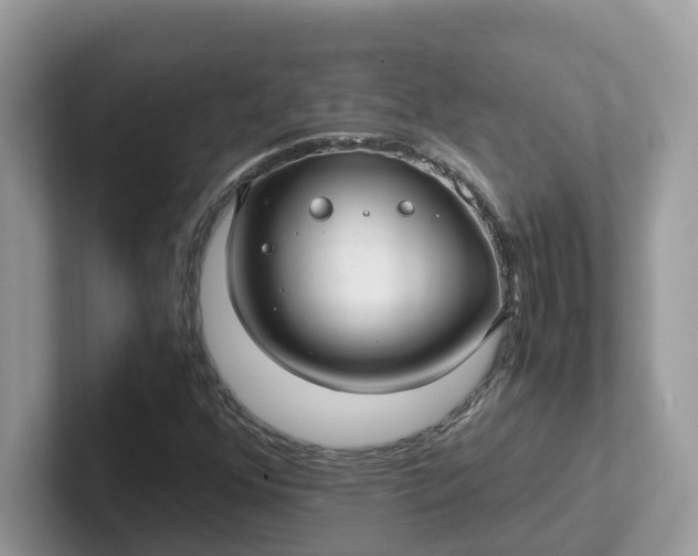 X0000101411352200807211046