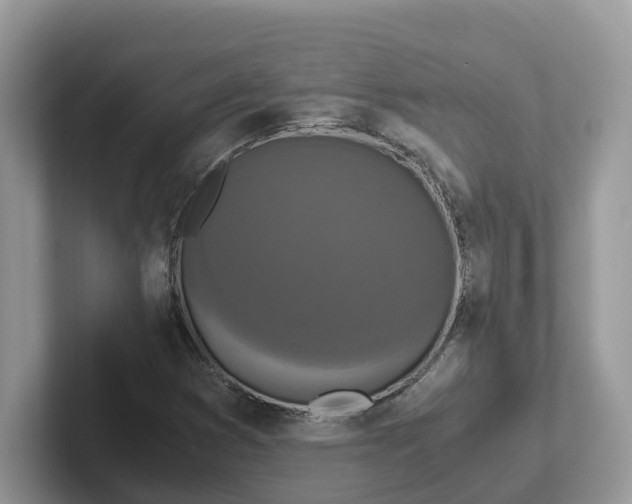 X0000101411353200807211046