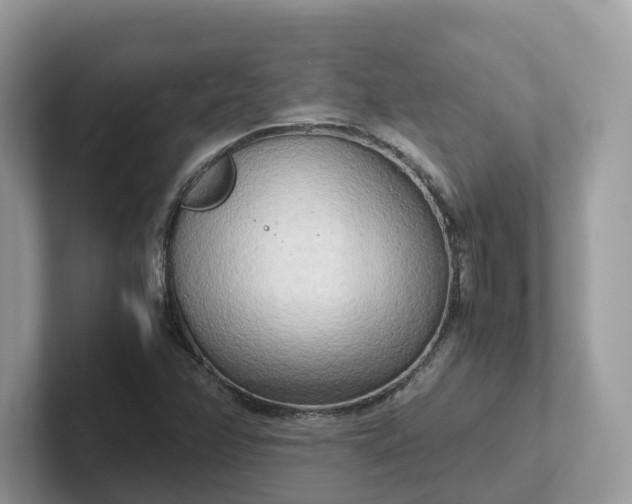 X0000101411358200807211046