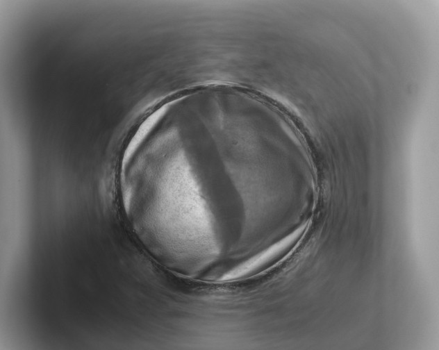 X0000101411359200807211046