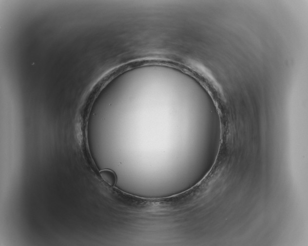 X0000101411360200807211046