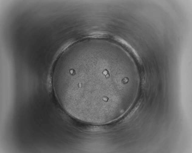 X0000101411362200807211046