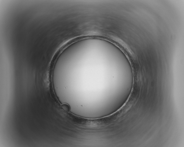 X0000101411364200807211046