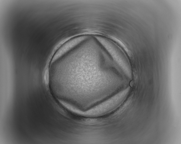 X0000101411371200807211046