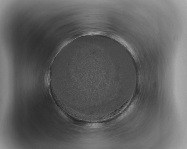 X0000101411377200807211046
