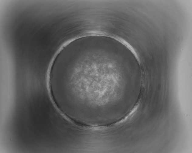 X0000101411381200807211046