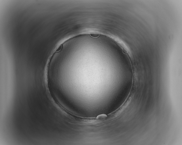 X0000101411382200807211046