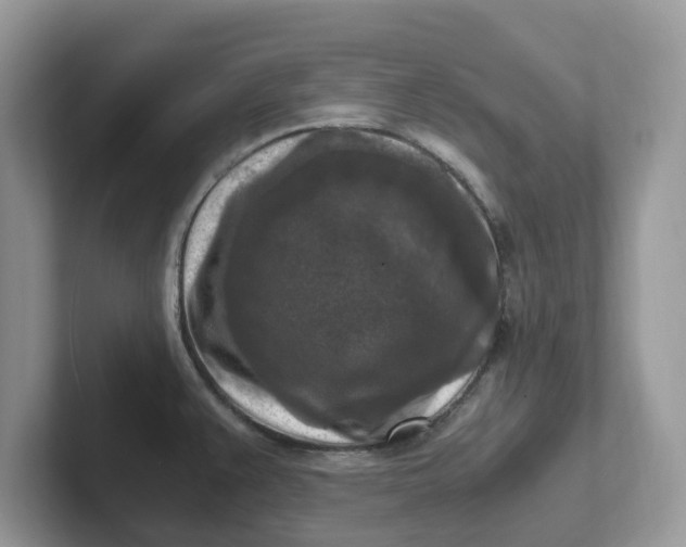 X0000101411383200807211046