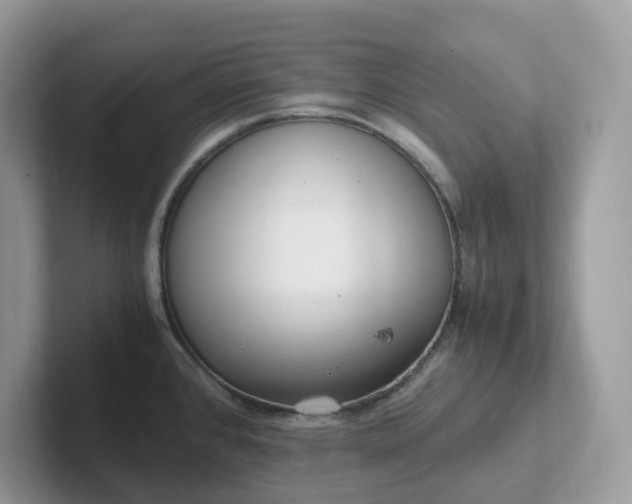 X0000101411384200807211046