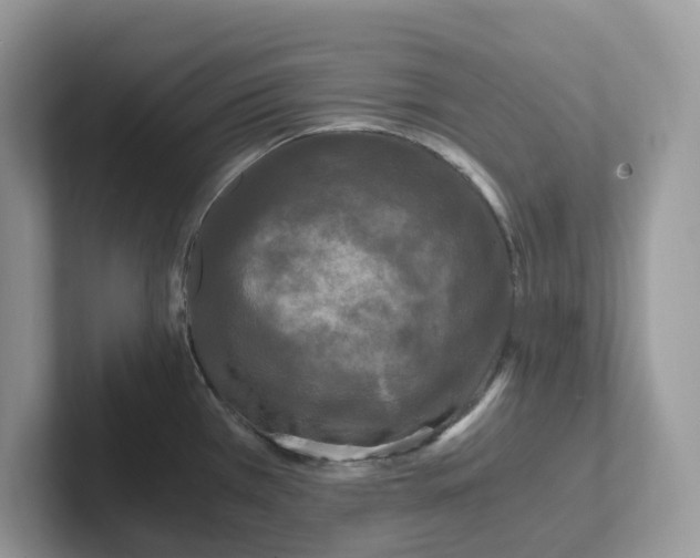 X0000101411385200807211046