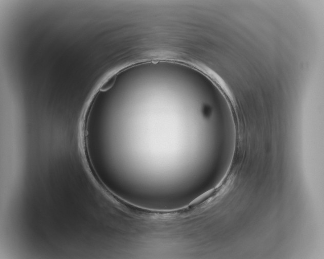 X0000101411389200807211046