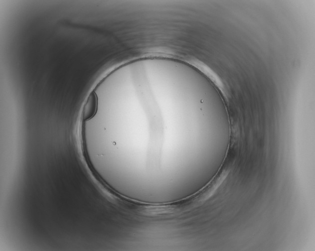 X0000101411391200807211046