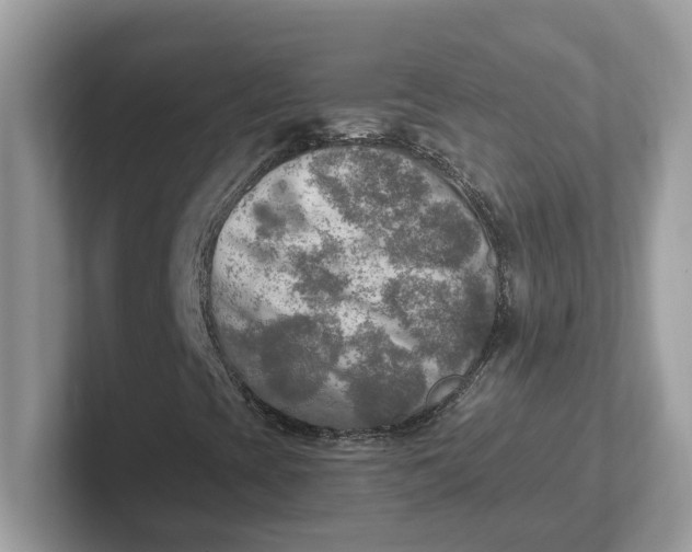 X0000101411393200807211045