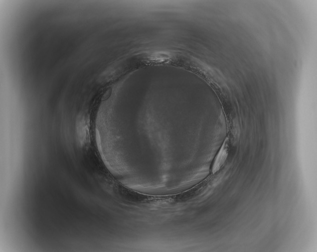 X0000101411394200807211045