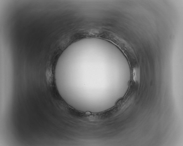 X0000101411395200807211045