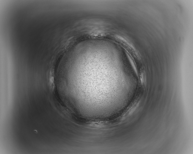X0000101411396200807211045