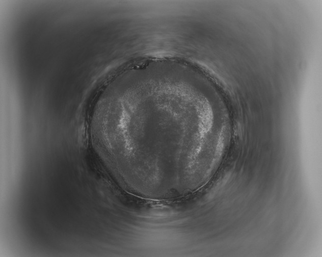 X0000101411398200807211045
