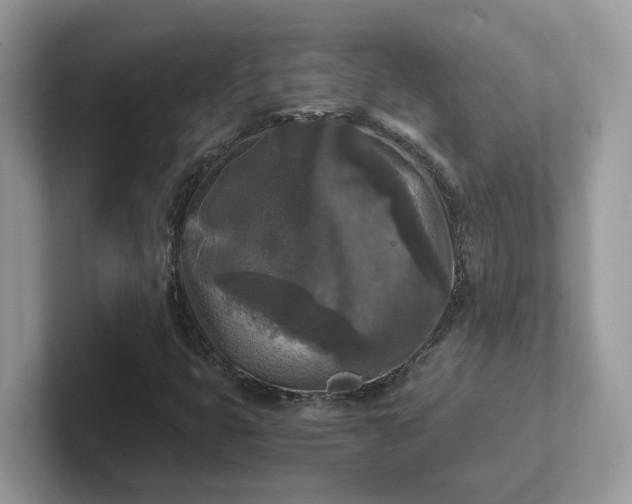 X0000101411399200807211045