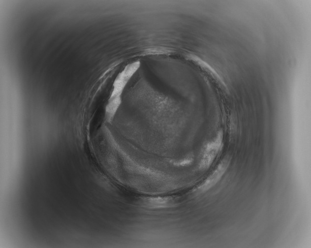 X0000101411401200807211045