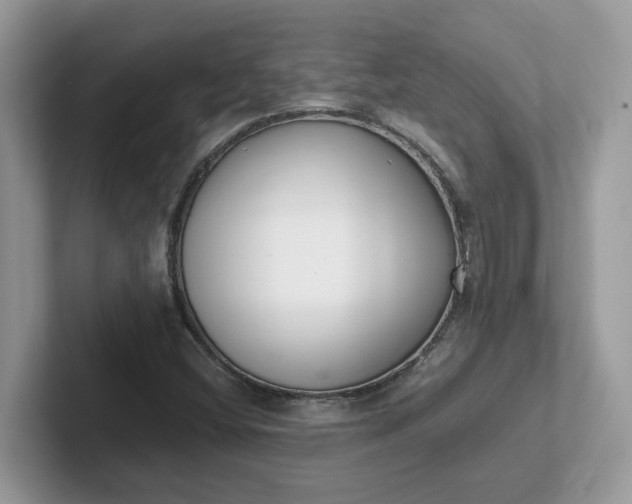 X0000101411404200807211045