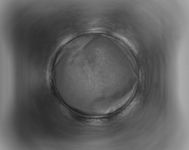 X0000101411405200807211045