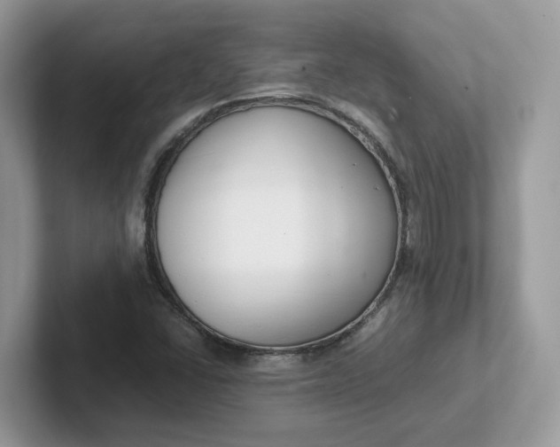 X0000101411406200807211045