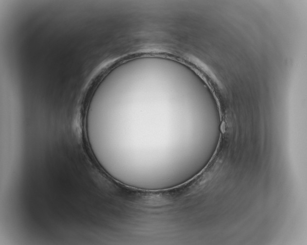 X0000101411408200807211045