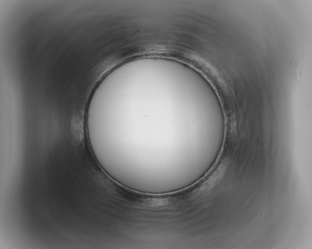 X0000101411409200807211045