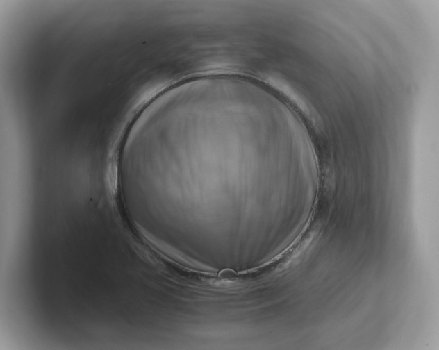X0000101411413200807211046