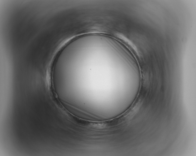 X0000101411415200807211046