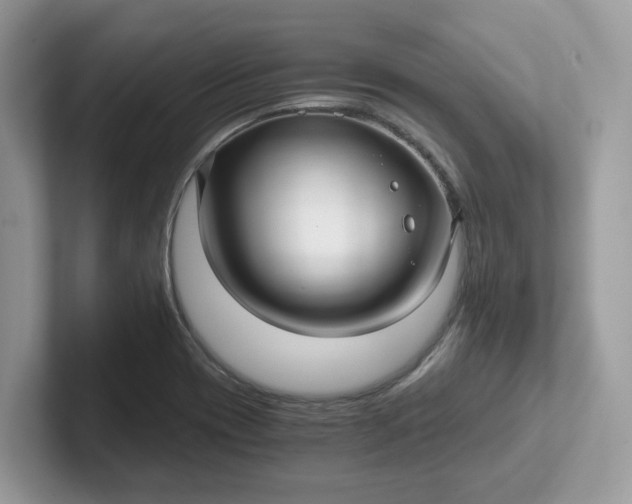 X0000101411417200807211046